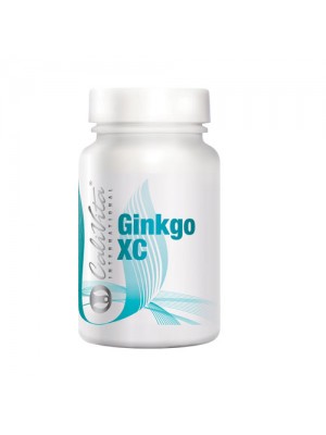 GINKGO XS 100 tablets